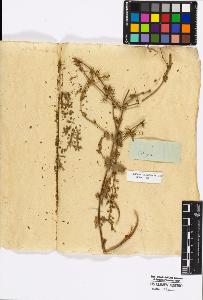 SW_BNB_s3010-17051_IMG-0000000001