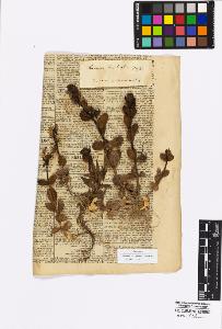 SW_BNB_s3010-17052_IMG-0000000001