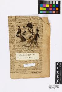 SW_BNB_s3010-17053_IMG-0000000001