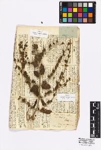 SW_BNB_s3010-17054_IMG-0000000001