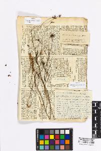 SW_BNB_s3010-17056_IMG-0000000001