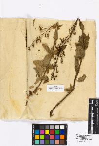 SW_BNB_s3010-17057_IMG-0000000001