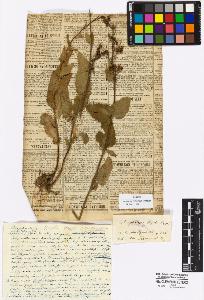 SW_BNB_s3010-17058_IMG-0000000001