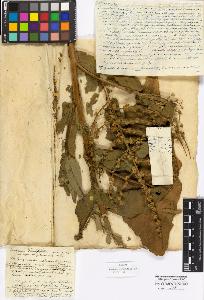 SW_BNB_s3010-17059_IMG-0000000001