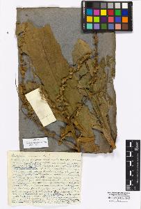 SW_BNB_s3010-17060_IMG-0000000001