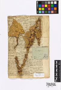 SW_BNB_s3010-17061_IMG-0000000001