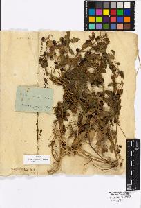 SW_BNB_s3010-17062_IMG-0000000001