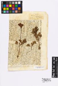 SW_BNB_s3010-17063_IMG-0000000001