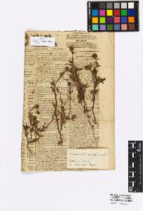 SW_BNB_s3010-17064_IMG-0000000001