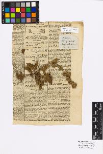 SW_BNB_s3010-17065_IMG-0000000001