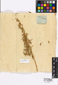 SW_BNB_s3010-17066_IMG-0000000001