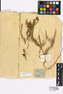 SW_BNB_s3010-17067_IMG-0000000001