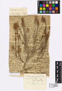 SW_BNB_s3010-17068_IMG-0000000001