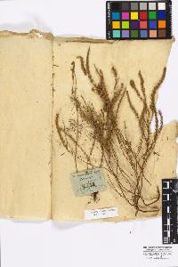 SW_BNB_s3010-17069_IMG-0000000001