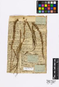 SW_BNB_s3010-17070_IMG-0000000001