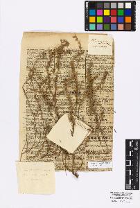 SW_BNB_s3010-17071_IMG-0000000001