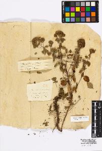 SW_BNB_s3010-17072_IMG-0000000001