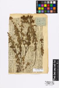 SW_BNB_s3010-17073_IMG-0000000001