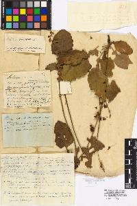 SW_BNB_s3010-17074_IMG-0000000001