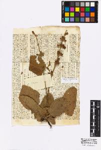 SW_BNB_s3010-17075_IMG-0000000001