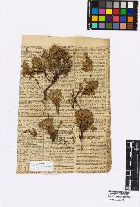 SW_BNB_s3010-17076_IMG-0000000001