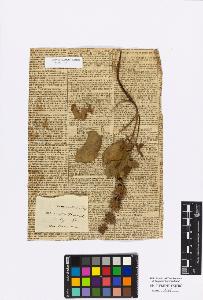 SW_BNB_s3010-17077_IMG-0000000001