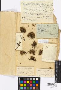 SW_BNB_s3010-17078_IMG-0000000001