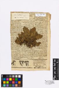 SW_BNB_s3010-17079_IMG-0000000001