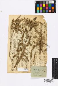 SW_BNB_s3010-17080_IMG-0000000001