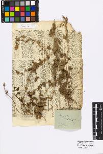 SW_BNB_s3010-17081_IMG-0000000001