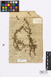 SW_BNB_s3010-17082_IMG-0000000001