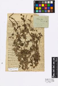 SW_BNB_s3010-17083_IMG-0000000001