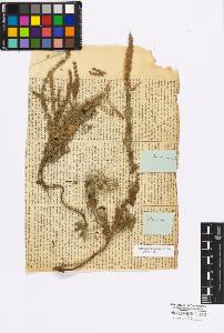 SW_BNB_s3010-17084_IMG-0000000001