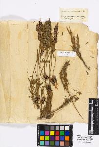 SW_BNB_s3010-17085_IMG-0000000001