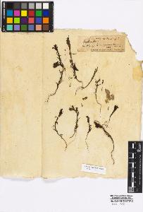 SW_BNB_s3010-17086_IMG-0000000001