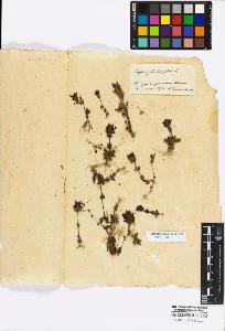 SW_BNB_s3010-17087_IMG-0000000001