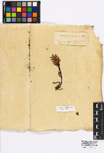 SW_BNB_s3010-17088_IMG-0000000001