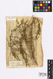 SW_BNB_s3010-17089_IMG-0000000001