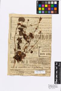 SW_BNB_s3010-17091_IMG-0000000001