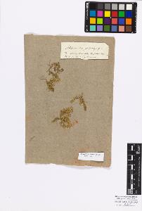 SW_BNB_s3010-17092_IMG-0000000001