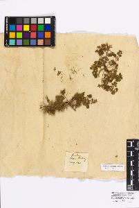 SW_BNB_s3010-17093_IMG-0000000001