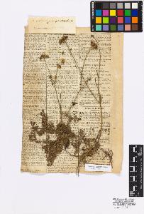 SW_BNB_s3010-17094_IMG-0000000001