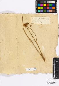 SW_BNB_s3010-17095_IMG-0000000001