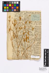 SW_BNB_s3010-17097_IMG-0000000001