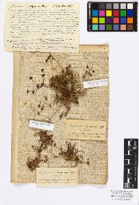 SW_BNB_s3010-17098_IMG-0000000001