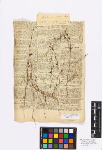 SW_BNB_s3010-17100_IMG-0000000001