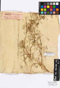 SW_BNB_s3010-17101_IMG-0000000001