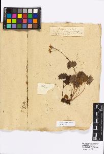 SW_BNB_s3010-17103_IMG-0000000001