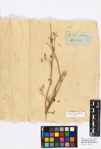 SW_BNB_s3010-17104_IMG-0000000001