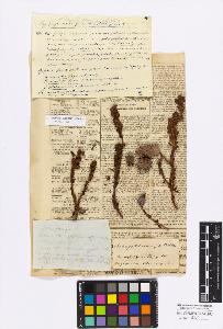 SW_BNB_s3010-17105_IMG-0000000001